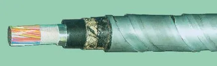 Кабель ТПппПБГ 500х2х0,5
