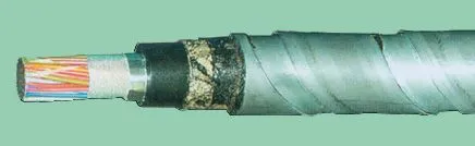 Кабель ТПппПБГ