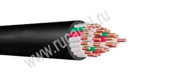 Кабель КВВГзЦ 2х6